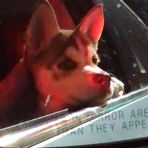 Meet your Posher, Mary